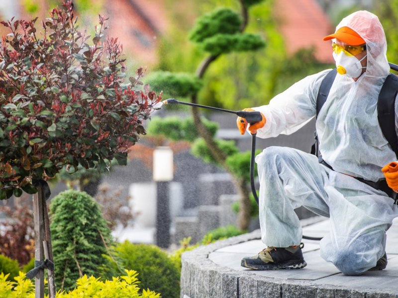 Çeşme Haşere İlaçlama